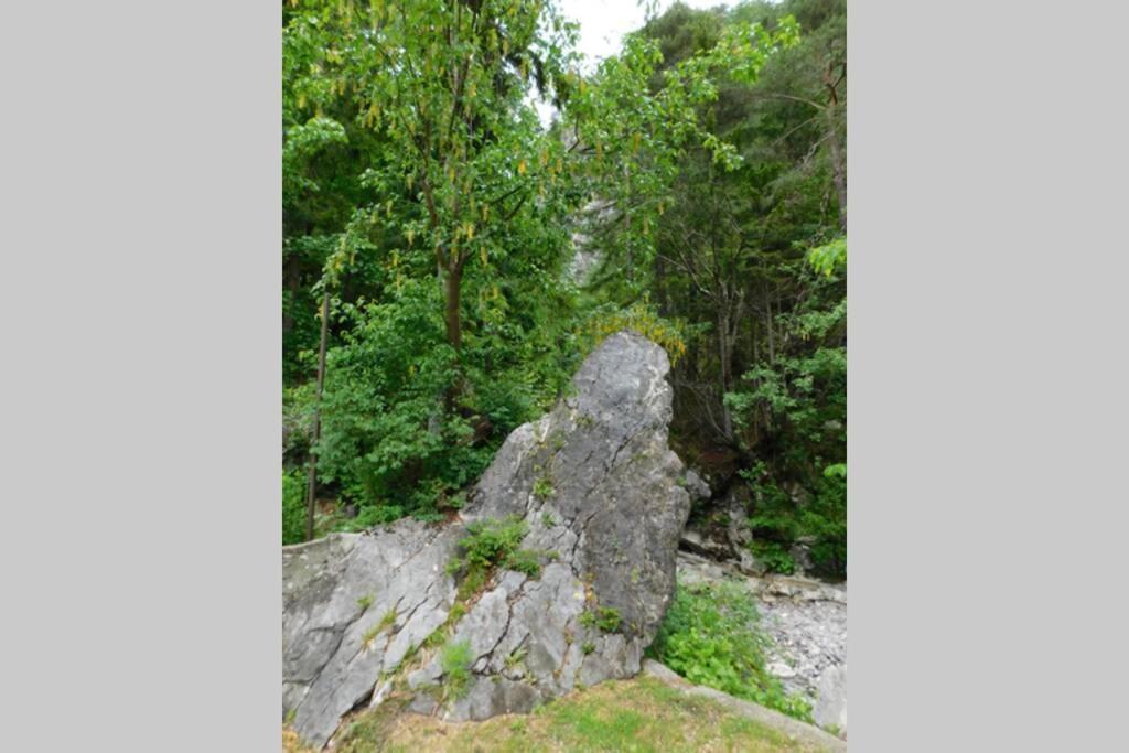 Rezidenca Mitja Villa Kranjska Gora Exterior foto